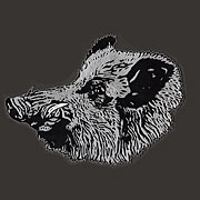 Embroidered patch, badge, emblem